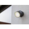 Lutec TRUMPET Aplique para exterior LED Antracita, 1 luz