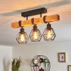 Barbengo Lámpara de Techo Negro, 3 luces