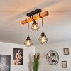 Barbengo Lámpara de Techo Negro, 3 luces