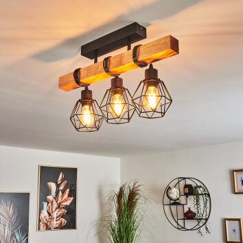 Barbengo Lámpara de Techo Negro, 3 luces