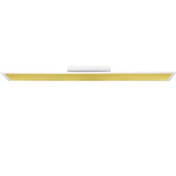 Brilliant Abie Lámpara de Techo LED Blanca, 1 luz, Mando a distancia