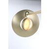 Steinhauer ZENITH Lámpara de Pie LED Latón, 2 luces