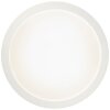 Brilliant Abie Lámpara de Techo LED Blanca, 1 luz, Mando a distancia, Cambia de color
