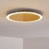 Aitrach Lámpara de Techo LED dorado, Blanca, 1 luz