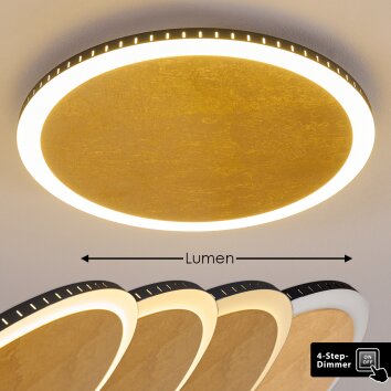 Aitrach Lámpara de Techo LED dorado, Blanca, 1 luz