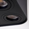 Baishan Lámpara de Techo Negro, 4 luces