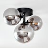 Chariton Lámpara de Techo Negro, 3 luces