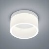 Helestra LIV Lámpara de techo LED Blanca, 1 luz