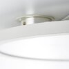 Brilliant Bility Lámpara de Techo LED Blanca, 1 luz