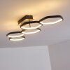 Halmstad Lámpara de Techo LED Negro, 1 luz