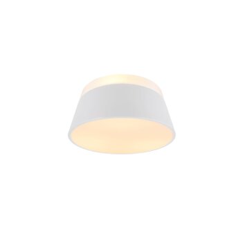 Lámpara de Techo Trio Leuchten BARONESS Blanca, 3 luces