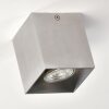 Lámpara de Techo Curacao Plata, 1 luz