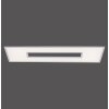Leuchten-Direkt RECESS Lámpara de Techo LED Blanca, 2 luces, Mando a distancia, Cambia de color