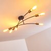 Duvin Lámpara de Techo Negro, 6 luces