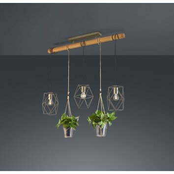 Trio Plant Lámpara Colgante LED marrón oscuro, Níquel-mate, 3 luces
