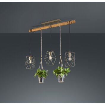 Trio Plant Lámpara Colgante LED marrón oscuro, Níquel-mate, 3 luces