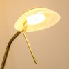 Biot Lámpara de pie LED Latón antiguo, 2 luces
