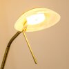 Biot Lámpara de pie LED Latón antiguo, 2 luces