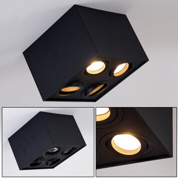 Baishan Lámpara de Techo Negro, 4 luces
