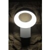 Konstsmide ASTI Aplique para exterior LED Acero inoxidable, 1 luz