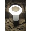 Konstsmide ASTI Aplique para exterior LED Acero inoxidable, 1 luz