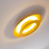 Springdale Lámpara de techo LED dorado, 1 luz