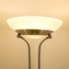Biot Lámpara de pie LED Níquel-mate, 2 luces