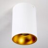 Lámpara de Techo Grenada dorado, Blanca, 1 luz