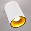 Lámpara de Techo Grenada dorado, Blanca, 1 luz
