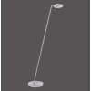 Paul Neuhaus MARTIN Lámpara de Pie LED Acero inoxidable, 1 luz