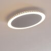 Aitrach Lámpara de Techo LED Plata, 1 luz