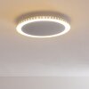 Aitrach Lámpara de Techo LED Plata, 1 luz