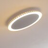 Aitrach Lámpara de Techo LED Plata, 1 luz