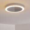 Aitrach Lámpara de Techo LED Plata, 1 luz