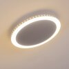 Aitrach Lámpara de Techo LED Plata, 1 luz