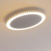 Aitrach Lámpara de Techo LED Plata, 1 luz
