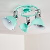 Dompierre Lámpara de Techo Verde, Blanca, 3 luces