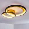 Baiyin Lámpara de Techo LED Negro-dorado, 1 luz