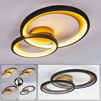 Baiyin Lámpara de Techo LED Negro-dorado, 1 luz