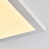 Barasat Lámpara de Techo LED Blanca, 1 luz