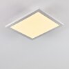 Barasat Lámpara de Techo LED Blanca, 1 luz