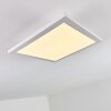 Barasat Lámpara de Techo LED Blanca, 1 luz