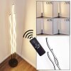 Mapleton Lámpara de Pie LED Negro, 3 luces, Mando a distancia