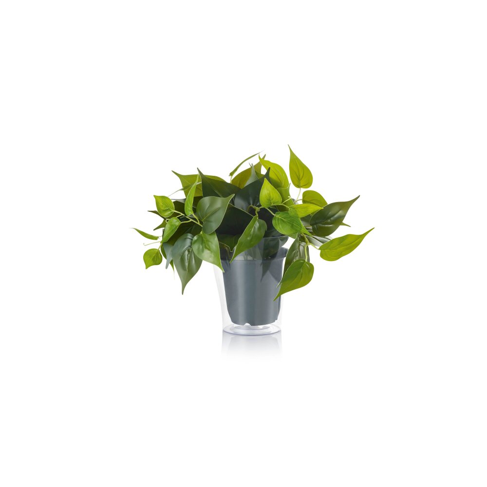 Trio Plant Flor LED Verde main product photo