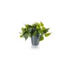 Trio Plant Flor LED Verde