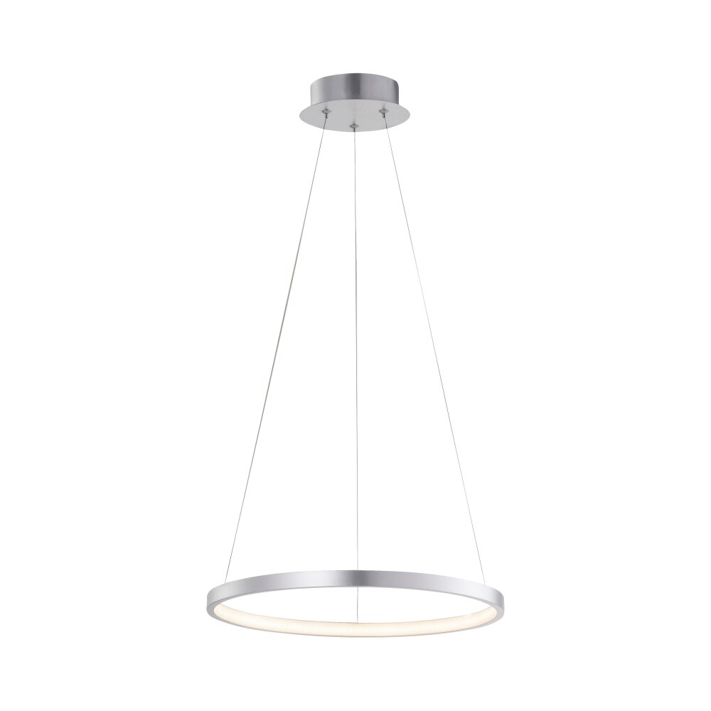 Lámpara Colgante Leuchten Direkt CIRCLE LED Plata, 1 luz main product photo