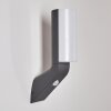 Porus Aplique para exterior LED Antracita, 1 luz, Sensor de movimiento