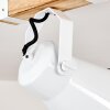 Oksbol Lámpara de Techo Madera clara, Blanca, 1 luz