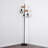 Barbengo Lámpara de Pie Madera clara, Negro, 2 luces