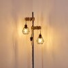 Barbengo Lámpara de Pie Madera clara, Negro, 2 luces